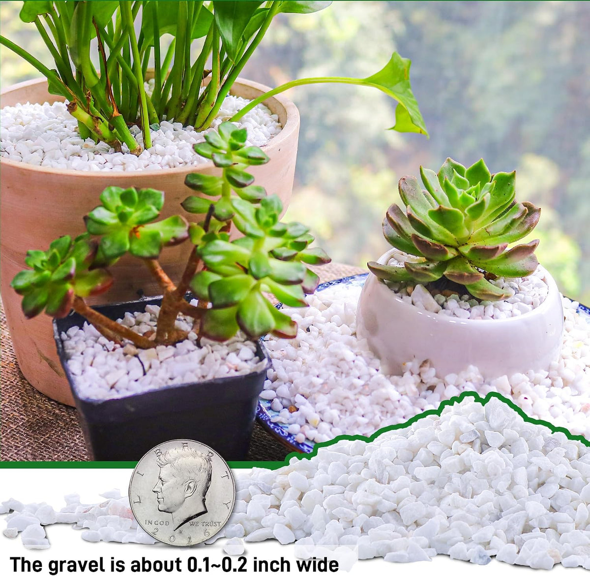 3lb Cactus Pea Gravel Rocks - 45LB / White Onyx - image 4