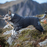 Hurtta Extreme Overall, Dog Snowsuit - 1 / Blackberry / 14S - image 2