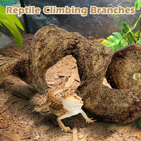 Reptile Climbing Decor 1.8-2.2" Thick Wood Branches Snake Habitat - 11.8 inches (1 Pack) - image 4