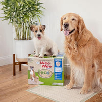 Four Paws Wee-Wee Superior Performance Bamboo Pee Pads for Dogs, Earth Friendly Dog & Puppy Potty Training Pads, Crate Liners, Housebreaking Supplies, 22" x 23" (50 Count)