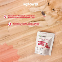 K9 Power Young at Heart Senior Dog Multivitamin 1 lb – Supplement for Brain Heart, Vision & Mobility Support in Senior Dogs - Pack of 2