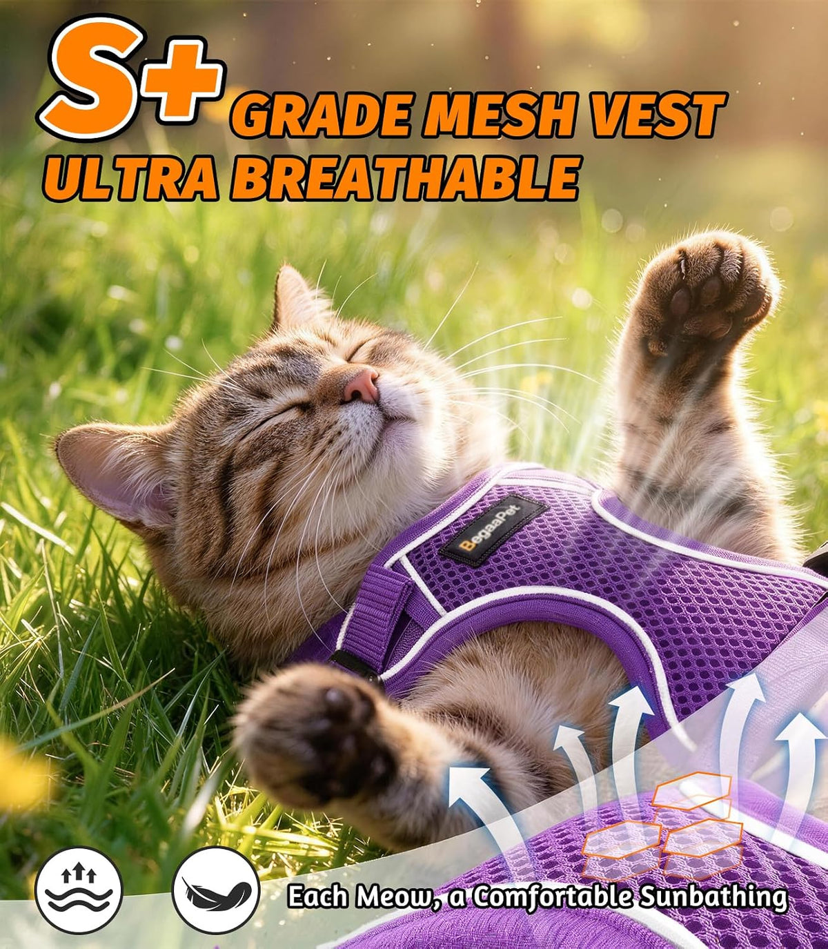 Cat Harness and Leash for Walking - Purple / M (13-18lb) - image 3