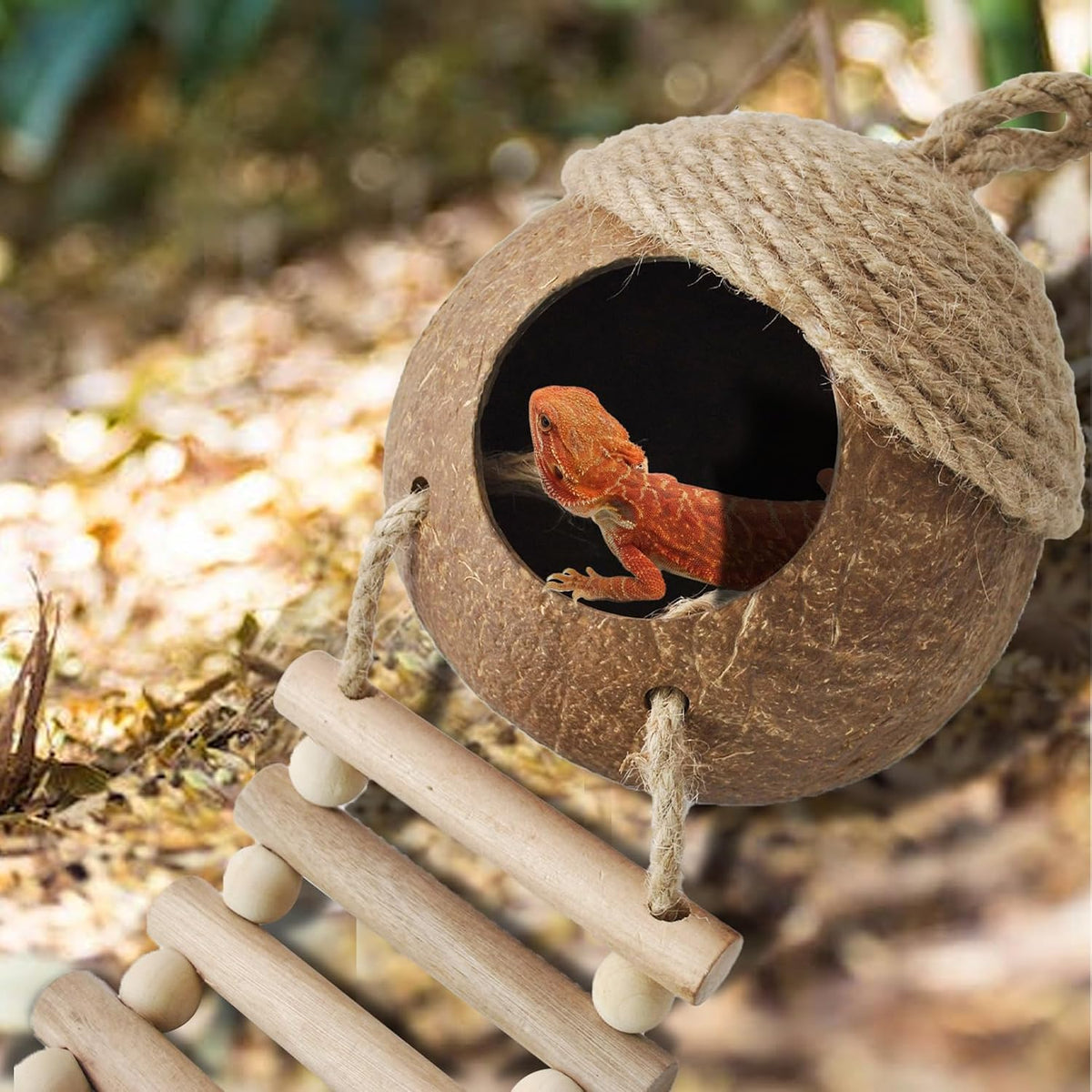 Lizard Coco Den with Ladder - 【Style C】 / 【With Ladder】 - image 3