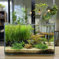 Vimvins 3 Gallon Glass Fish Tank - 3 Gallon - image 4
