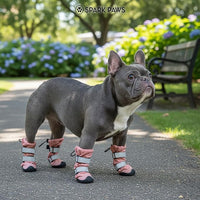 Spark Paws Dog Shoes, Waterproof Dog Boots for Medium to Large Dogs, Non Slip, Breathable Dog Booties and Paw Protectors - 4PCS Doggie Hiking Boots with Reflective Straps - Pink - Size 2