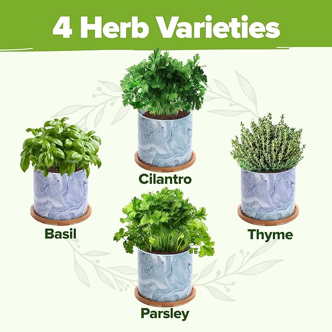 HOME GROWN Indoor Herb Garden Kit w/Glazed Ceramic Pot - Easy-to-Grow Kitchen Window Gardening Starter Set - Unique Housewarming Gift for Women, Mom, Gardeners, Friend, Her, Mother