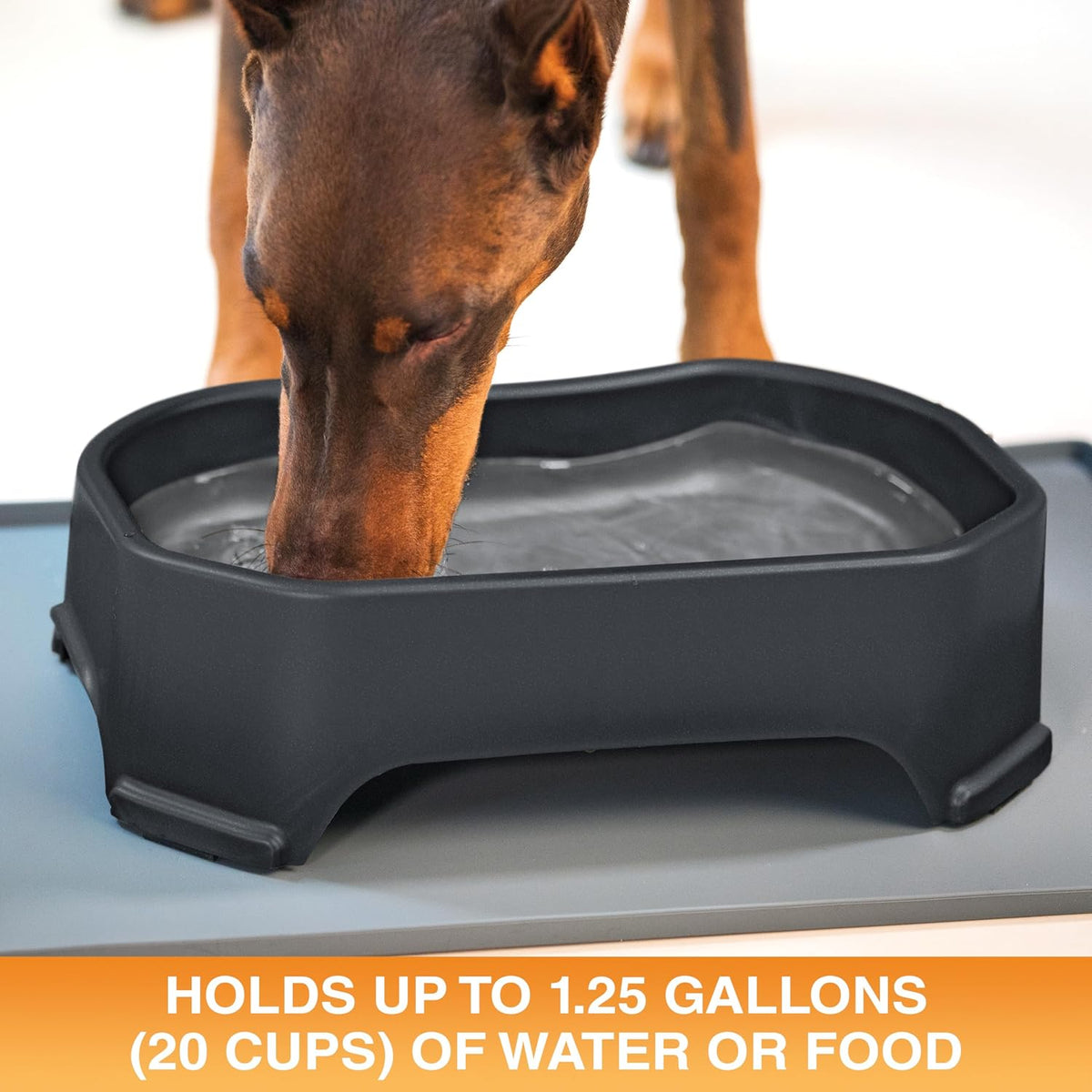 Neater Pet Brands Extra Large Water Bowl for Dogs - 1.25 Gallons / Midnight Black - image 2