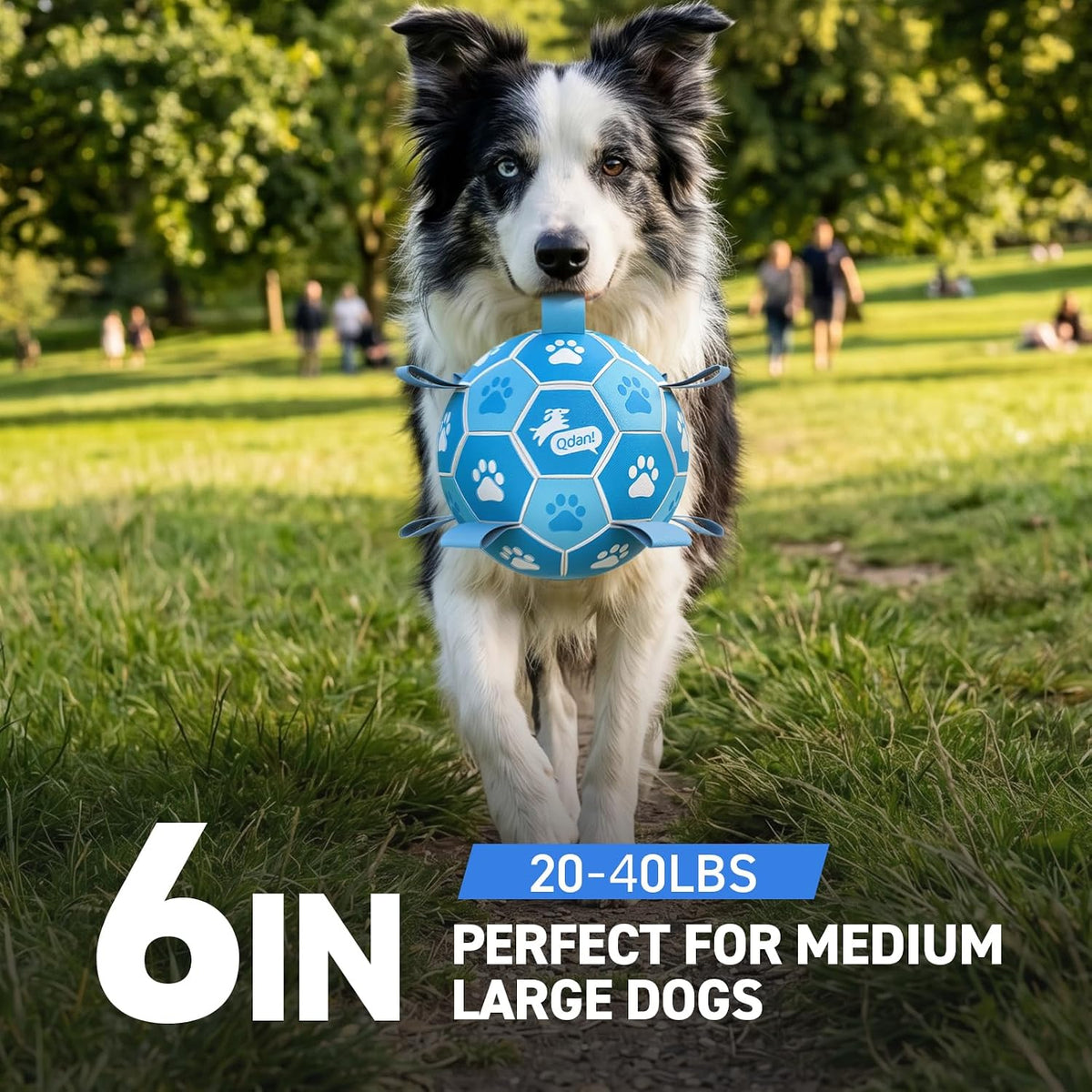 QDAN Dog Balls, Outdoor Dog Toys - Medium Size 2 / White-Blue - image 2