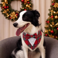 Dog Tuxedo for Small Dogs Valentines Bandana with Bowtie Wedding Tux – Essentials for Dogs - Christmas-Red / X-Large - image 4