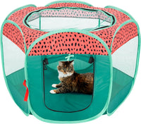 FurHaven Soft-Sided Dog & Cat Playpen - Green & Pink / Small