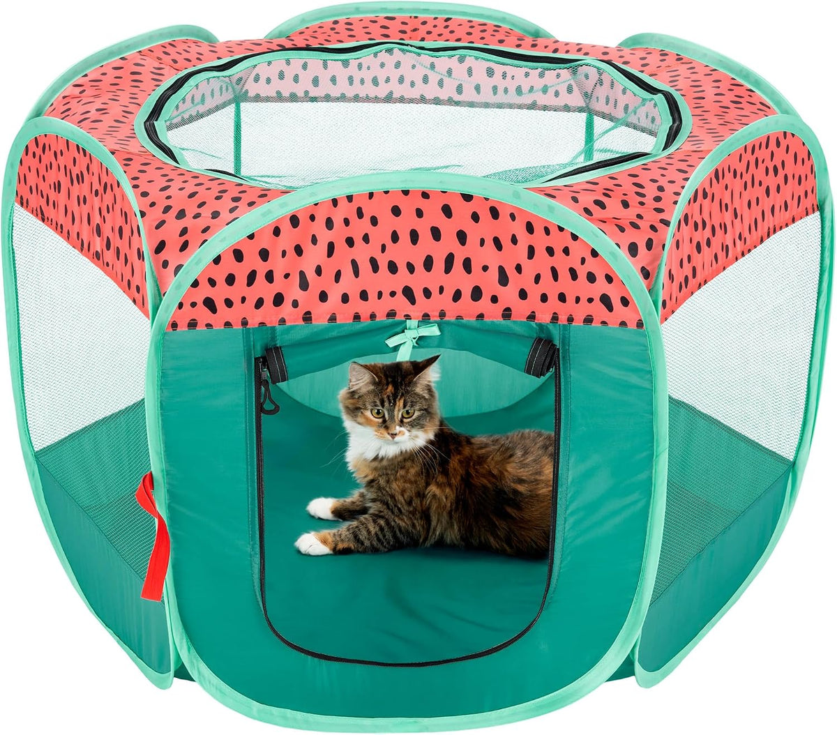 FurHaven Soft-Sided Dog & Cat Playpen - Green & Pink / Small