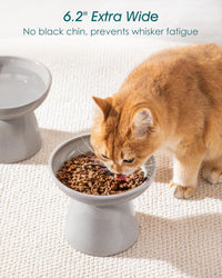 vancasso 2-Pack 6.2" Wide Elevated Cat Bowls - Grey / Food & Water Bowl Set - image 4