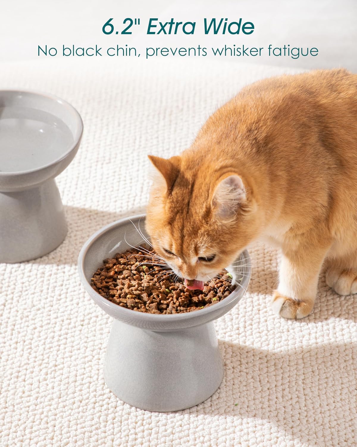 vancasso 2-Pack 6.2" Wide Elevated Cat Bowls - Grey / Food & Water Bowl Set - image 4