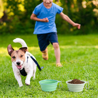 SLSON Collapsible Dog Bowl Silicone - Macaron Light Green and Light Yellow / Small - image 2