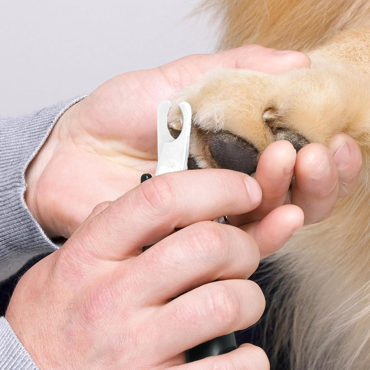 Tweezerman Small Nail Clippers for Pets - Large - image 4