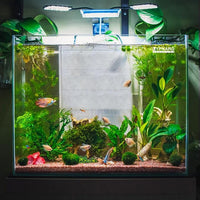 Cube Rimless Aquarium 4 Gallon, Ultra Clear Low Iron Nano Fish Tank for Betta, L9.8×W9.8×H9.8 Glass Thickness 5mm with EVA Foam Leveling Mat