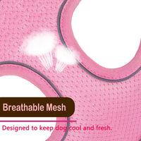 Cat Harness and Leash Set - pink-2 / Large(chest:16''-20'') - image 2