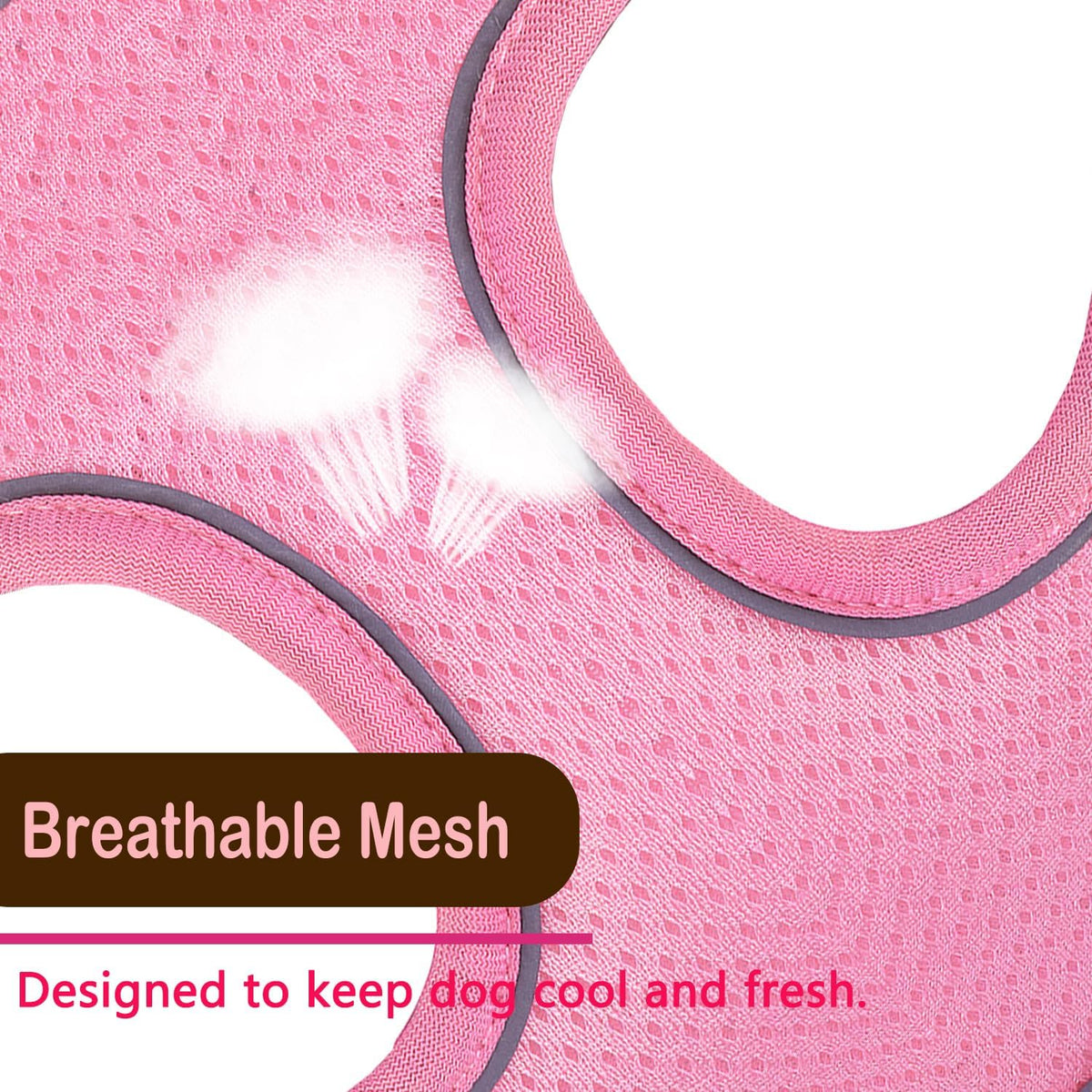 Cat Harness and Leash Set - pink-2 / Large(chest:16''-20'') - image 2