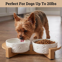 Ceramic Dog Bowl Set of 2 with Anti-Skid Base, 5.5"W x 2"H - Small / White with Stand - image 3