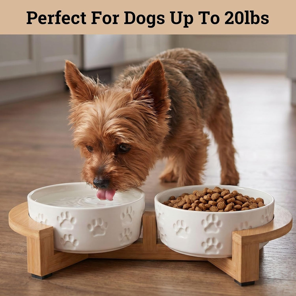 Ceramic Dog Bowl Set of 2 with Anti-Skid Base, 5.5"W x 2"H - Small / White with Stand - image 3