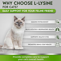 Trulysine L-Lysine for Cats Immune Support Oral Powder 4oz/100g - Cats & Kittens of All Age, Sneezing, Runny Nose Squinting, Watery Eyes - Fish & Poultry Flavor (U.S.A)(100 Grams ( 500mg / Scoop))