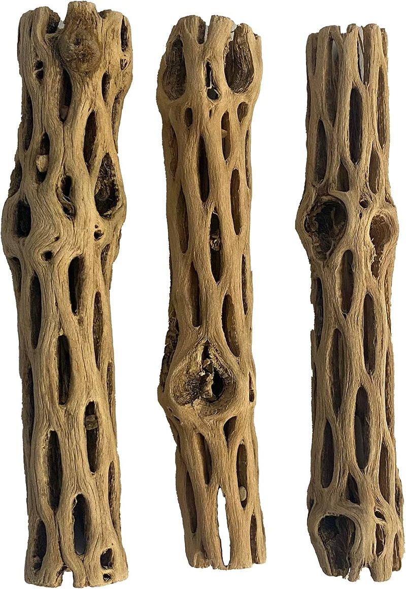 Awesome Aquatic Natural Staghorn Cholla Wood Tube - 3 pc 6 inch