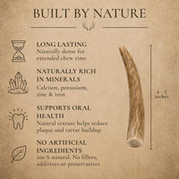 WhiteTail Naturals 12 Pack Whole Deer Antlers for Petite Dogs Up - Petite (Pack of 12) - image 3