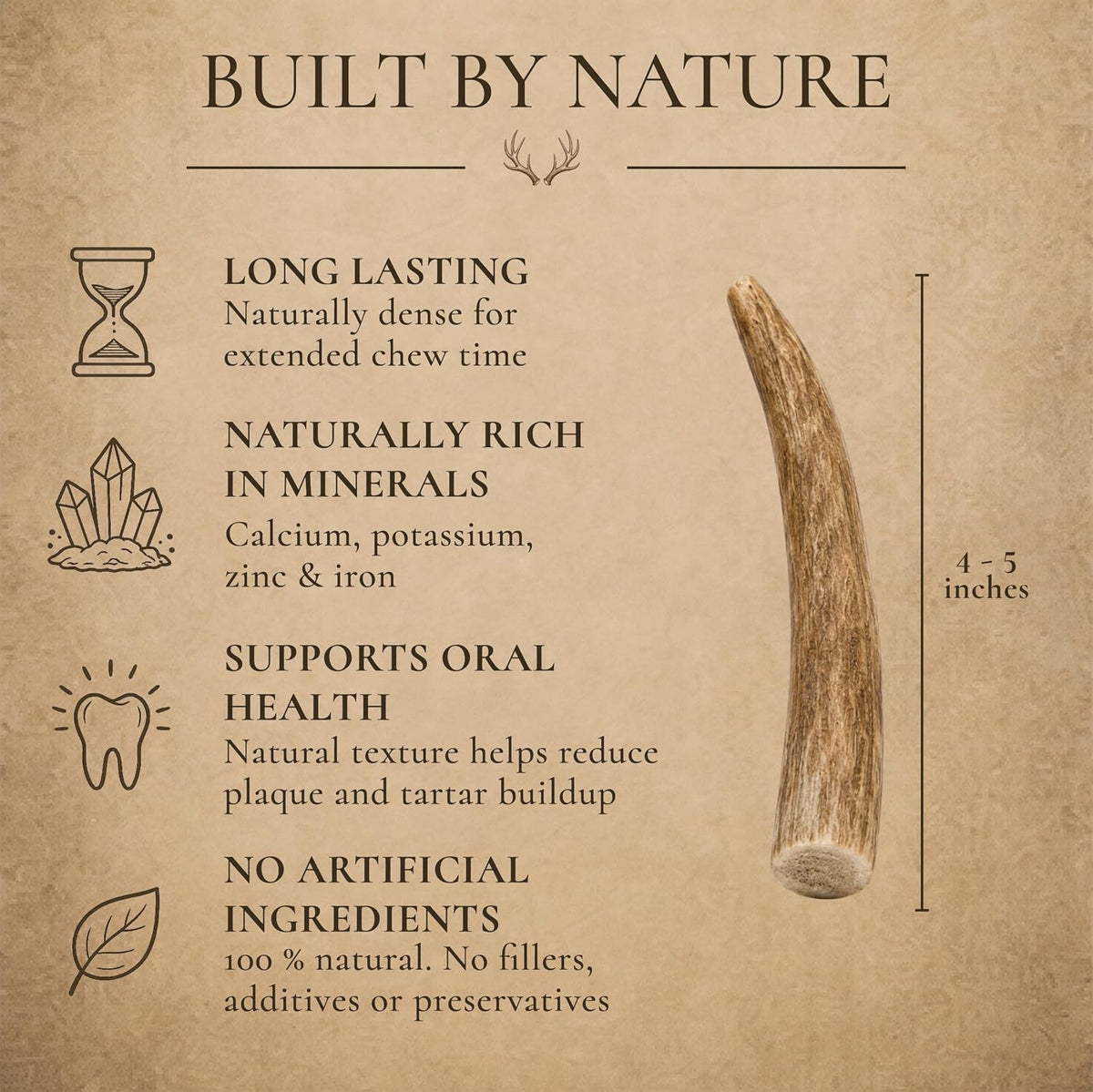 WhiteTail Naturals 12 Pack Whole Deer Antlers for Petite Dogs Up - Petite (Pack of 12) - image 3