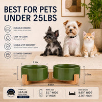 Ceramic Cat Dog Bowl Set with Stand - Rust Green / 400ML*2 - image 3