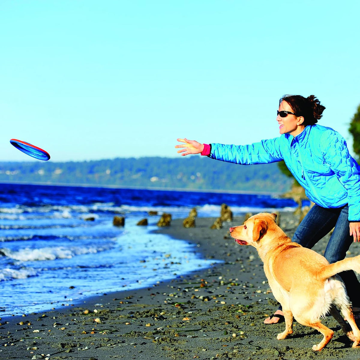 Chuckit! Paraflight Flying Disc Dog Toy, Floats, Size Large - Large (Pack of 12) / Blue/Orange - image 2