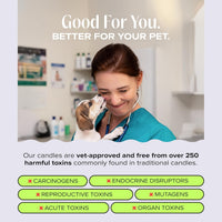 Nostalgia Pet-Friendly Scented Candle - Nostalgia - 11.8oz / Nostalgia - image 3