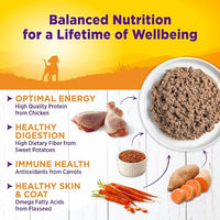 Wellness Complete Health Natural Wet Canned Puppy Food, Puppy Chicken & Salmon 12.5-Ounce Can (Pack of 12)