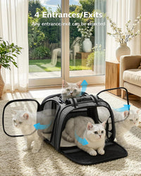 Pecute Cat Carrier, Double Bubble Pet Carrier for Cat Small Dogs - 16.9"L x 11.8"W x 12.6"H / Gray - image 2