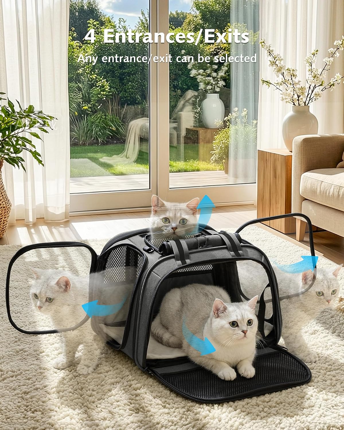 Pecute Cat Carrier, Double Bubble Pet Carrier for Cat Small Dogs - 16.9"L x 11.8"W x 12.6"H / Gray - image 2