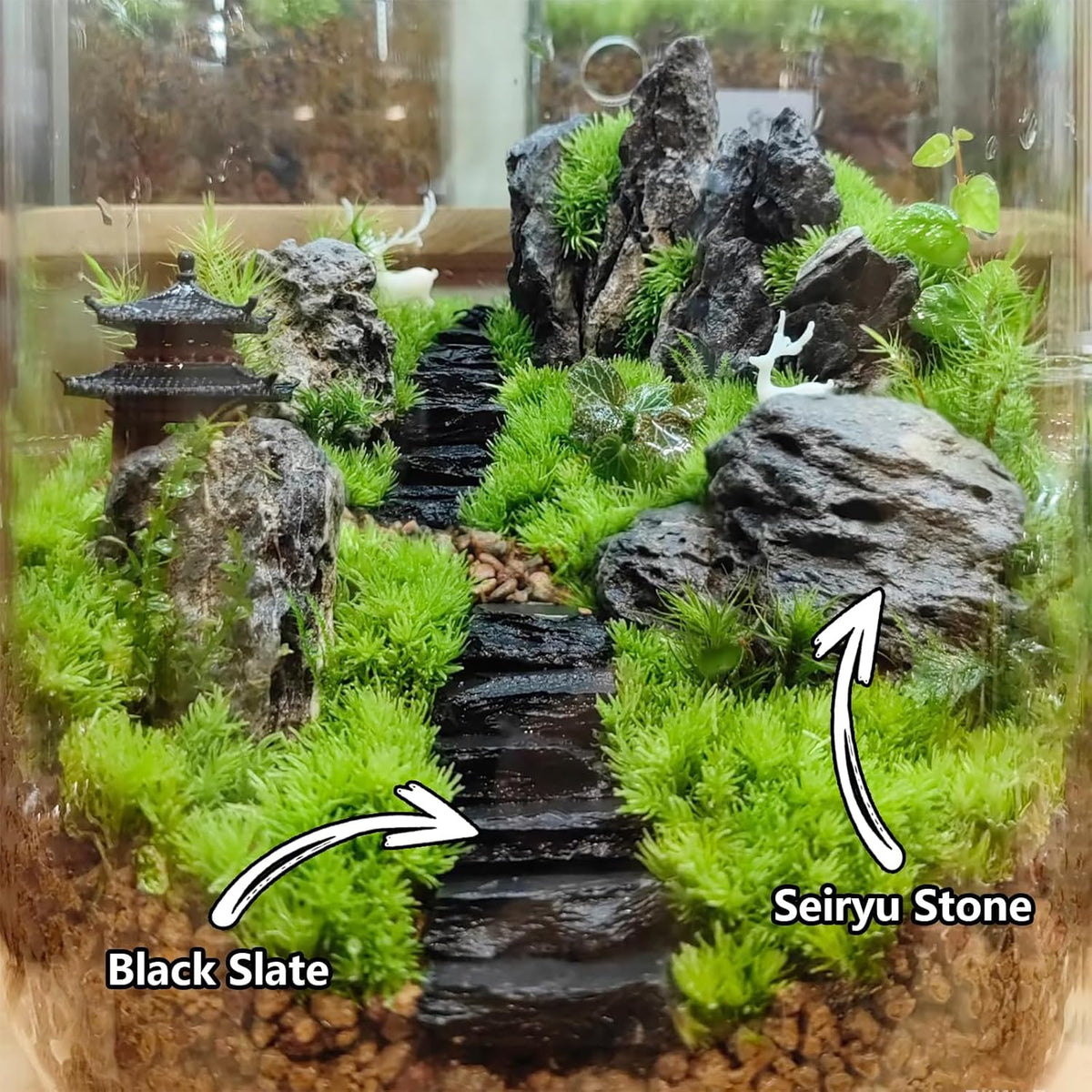 Natural Rocks Seiryu Stone 1-2.5 Inches Decorative Stones for Fairy - Seiryu Stone / 1lb(1-2.5Inch) - image 3