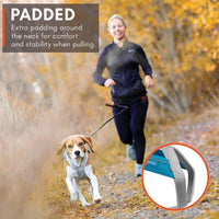 Non-stop Dogwear Freemotion 5.0 Dog Pulling Harness, Blue/Gray - 8 / Pink/Gray - image 2