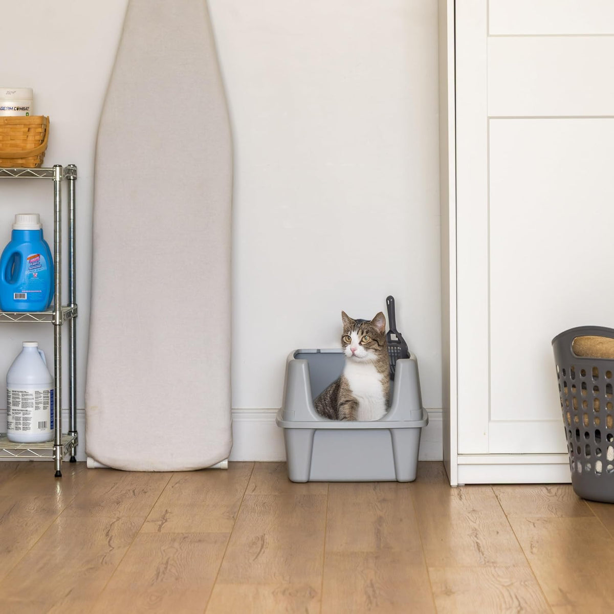 IRIS USA High Sided Cat Litter Box, Scatter Shield - Large / Gray - image 3