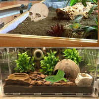 PINVNBY Bearded Dragon Tank Accessories - 【Human Skull+Rectangle Hammock Decor】 - image 4