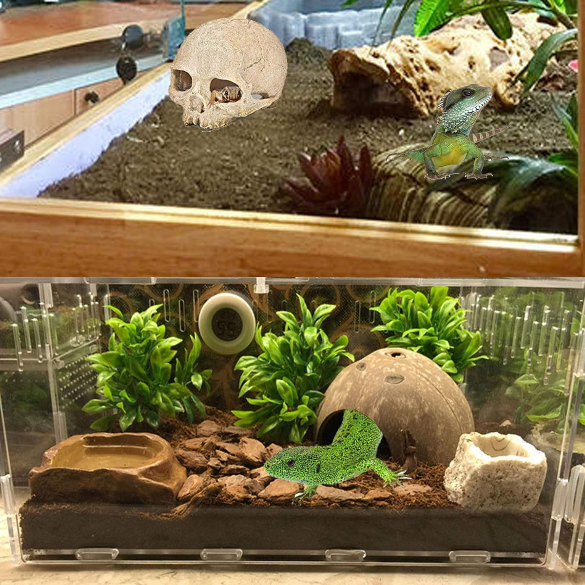 PINVNBY Bearded Dragon Tank Accessories - 【Human Skull+Rectangle Hammock Decor】 - image 4
