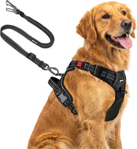 Joytale No Pull Dog Harness & Seat Belt, Easy On 3-Buckle, L - Black / Extra Large
