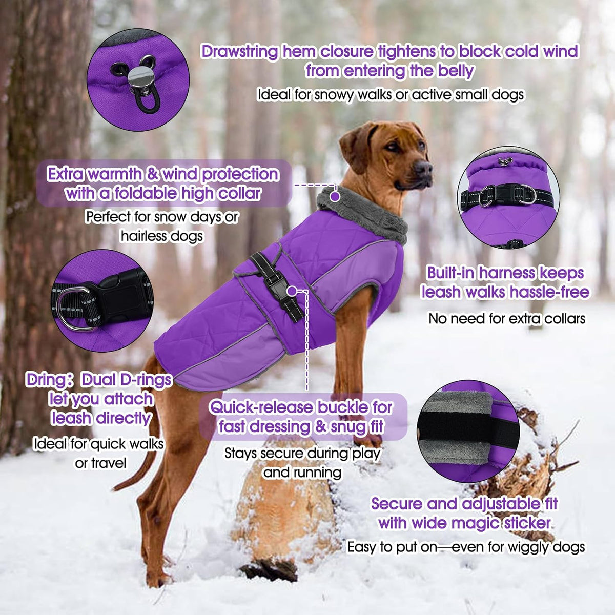 QBLEEV Warm Dog Jacket, Waterproof Dog Winter Coat with Harness – Essentials for Dogs - Purple / XXX-Large - image 2
