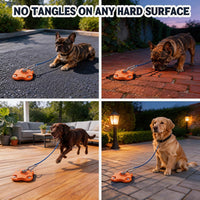 Heavy Duty Dog Tie Out Stake for Outside - Dog Stake + 20ft Cable/200lbs - image 4