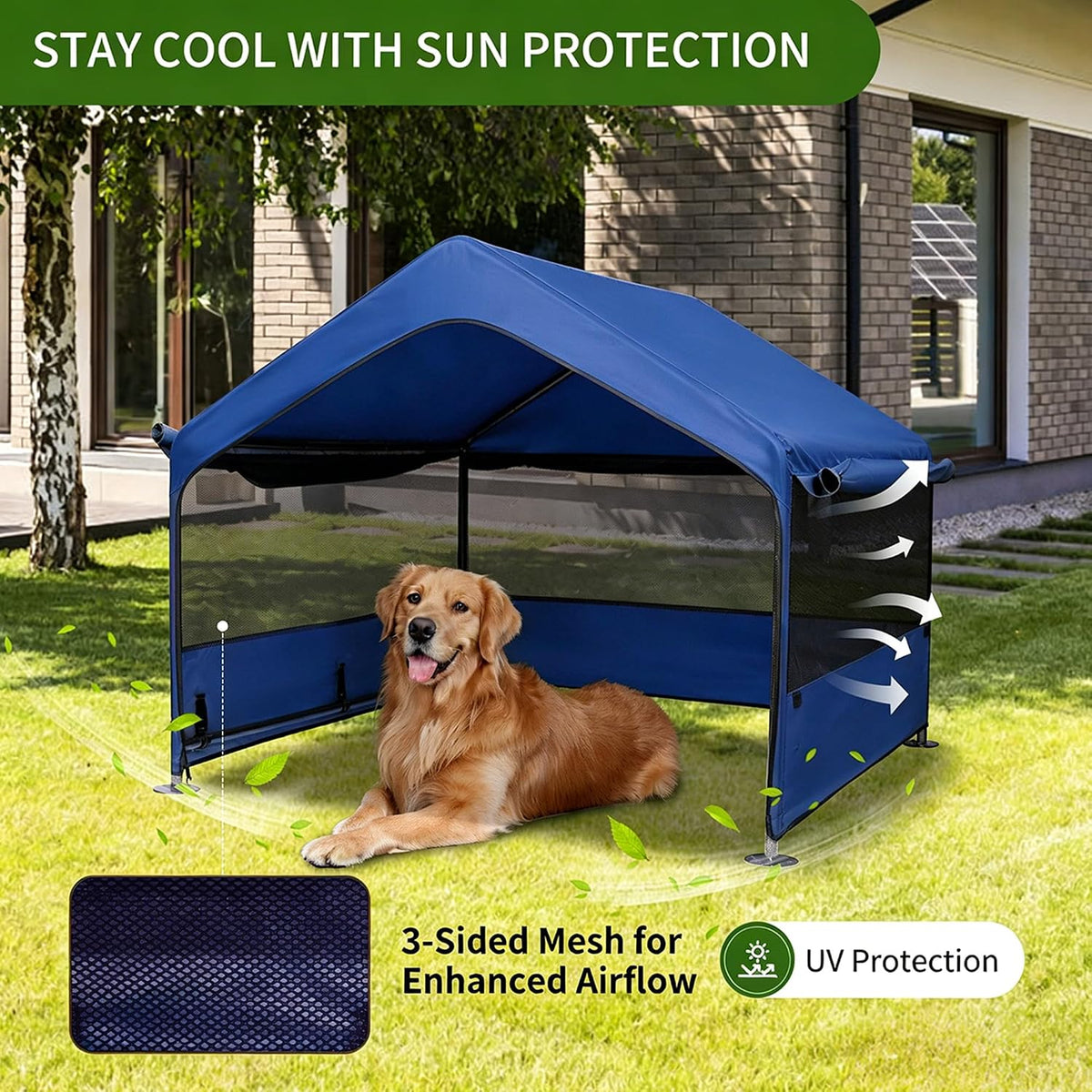 Summertrail Extra Large Dog House Outside - Blue - image 2