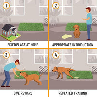 Ottomanson Artificial Grass Puppy Potty Training Pad, 2'7" x 4' Reusable Pee Pad for Small Pets and Dogs