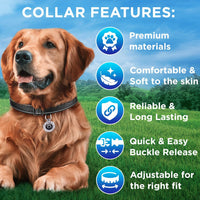 Reflective Neoprene Padded Dog Collar with Quick Release Buckle – Essentials for Dogs - Black / X-Large - image 3
