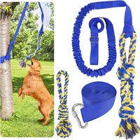 XiaZ Tug of War Dog Toy, Interactive Dogs Toy Bungee Hanging Tether with 2 Chew Rope Toys, Heavy - Blue