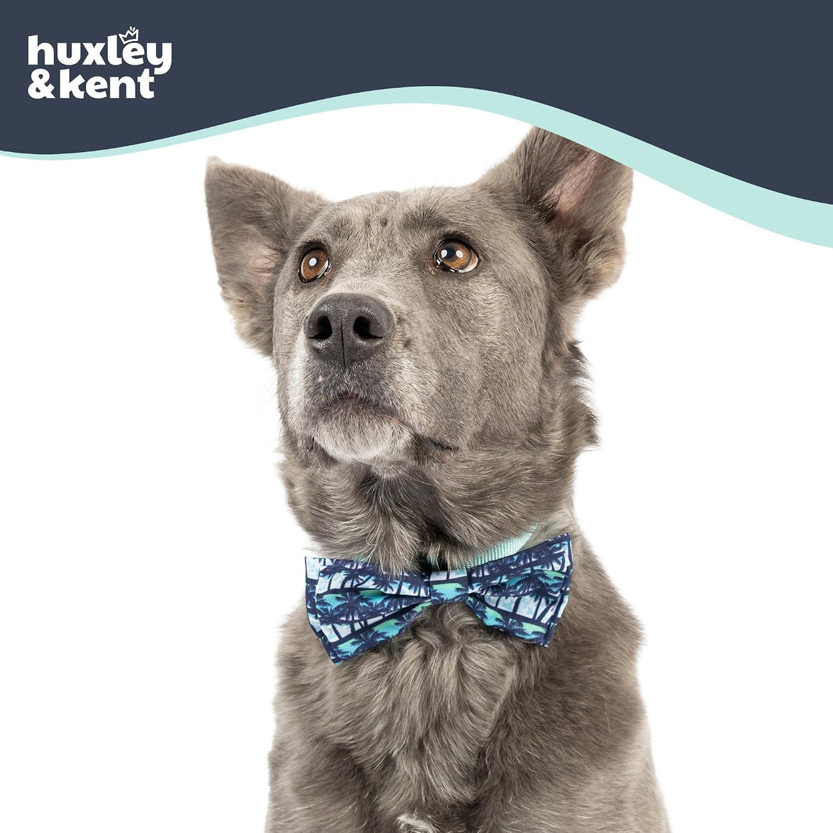 Huxley & Kent Pet Bow Tie for Dogs & Cats - Cool Breezes / Small - image 3