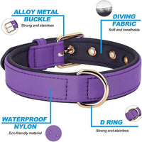 Didog Soft Padded Dog Collars for Small Dogs, Lightweight and Breathable Purple Dog Collar with Metal Buckle, Purple, M