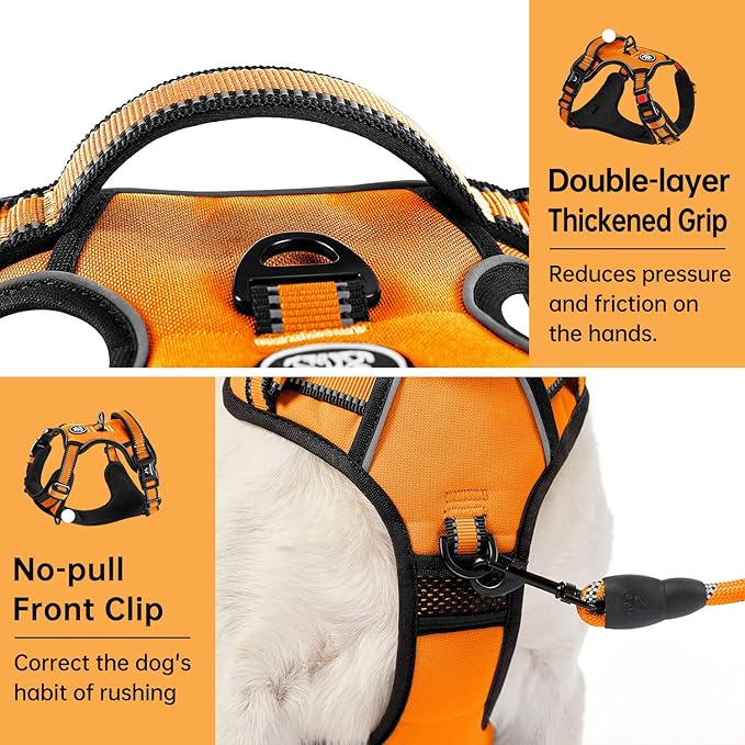 IVY&LANE No Pull Dog Harness for Small Dogs, Vest Harness with Leash, Safety Belt and Storage Strap, Fully Adjustable, 360° Reflective Strip, Soft Handle (Orange, S)