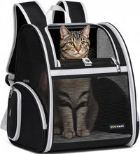Cat Backpack Carrier for Small Dogs and Medium cat Puppy Kitten Bunny - Black / 12.9"L x 10.6"W x 15.5"H